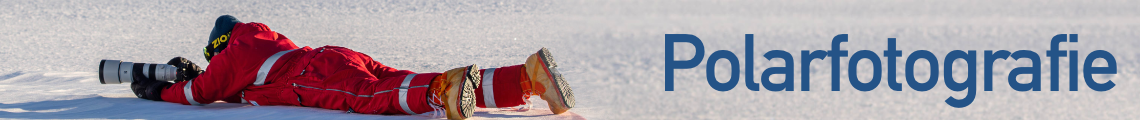 Workshop - Polarfotografie
